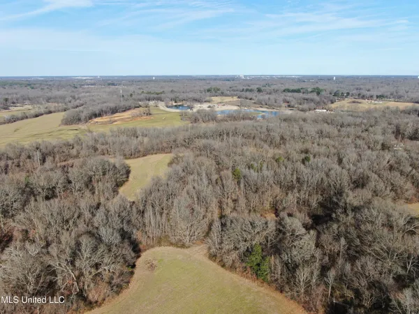 $1,800,000 | 3800 Highway 301, Lake Cormorant, MS 38641