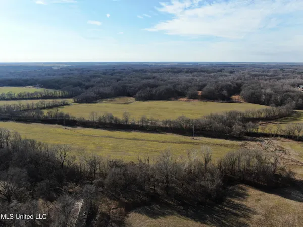 $1,800,000 | 3800 Highway 301, Lake Cormorant, MS 38641