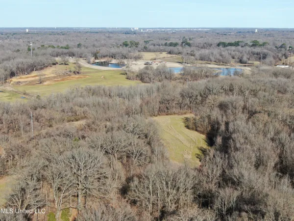 $1,800,000 | 3800 Highway 301, Lake Cormorant, MS 38641