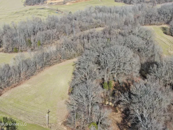 $1,800,000 | 3800 Highway 301, Lake Cormorant, MS 38641