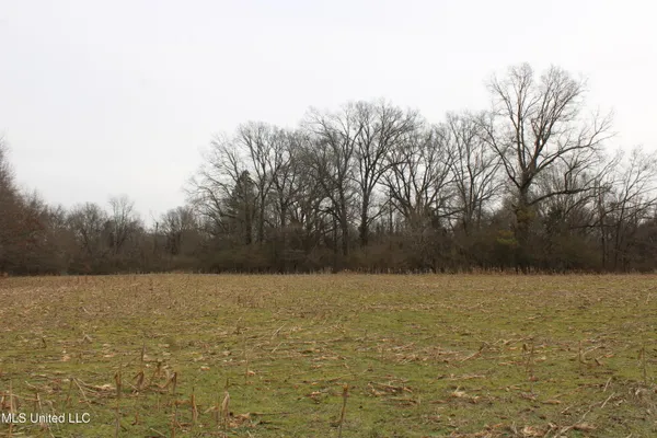 $1,800,000 | 3800 Highway 301, Lake Cormorant, MS 38641