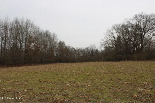 $1,800,000 | 3800 Highway 301, Lake Cormorant, MS 38641