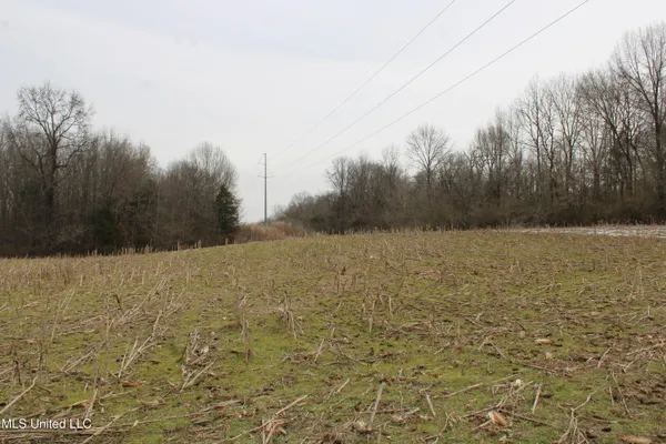 $1,800,000 | 3800 Highway 301, Lake Cormorant, MS 38641