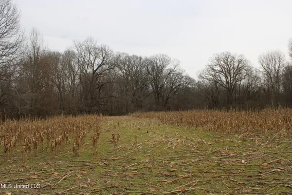 $1,800,000 | 3800 Highway 301, Lake Cormorant, MS 38641