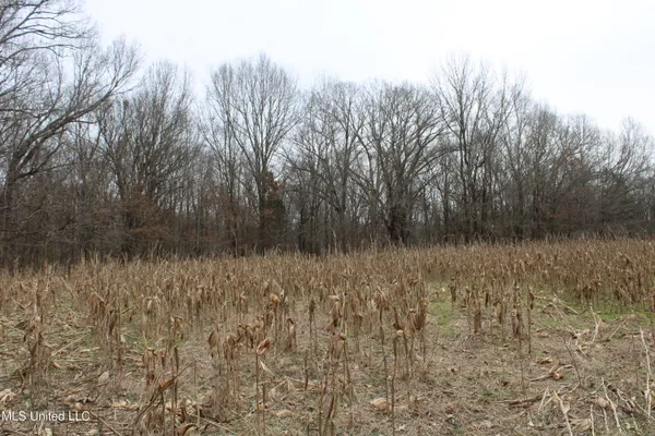 $1,800,000 | 3800 Highway 301, Lake Cormorant, MS 38641