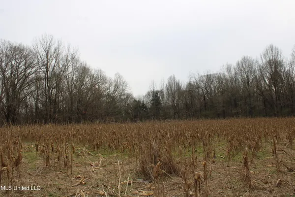 $1,800,000 | 3800 Highway 301, Lake Cormorant, MS 38641