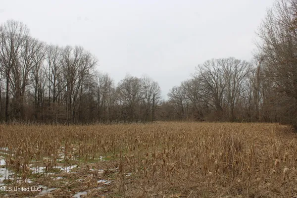 $1,800,000 | 3800 Highway 301, Lake Cormorant, MS 38641