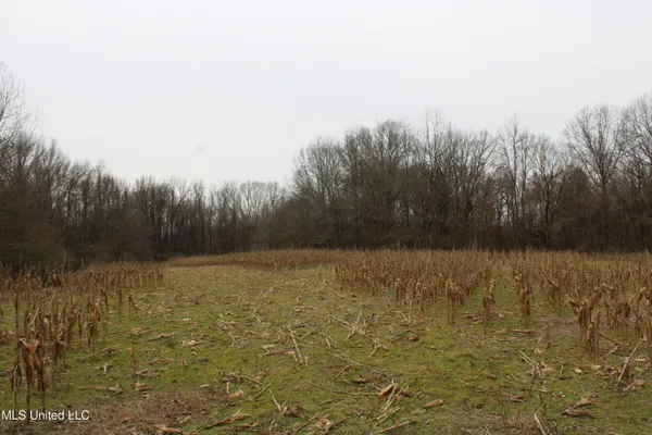 $1,800,000 | 3800 Highway 301, Lake Cormorant, MS 38641