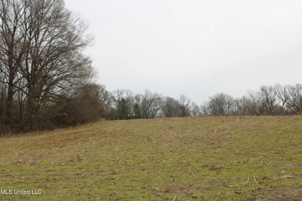 $1,800,000 | 3800 Highway 301, Lake Cormorant, MS 38641