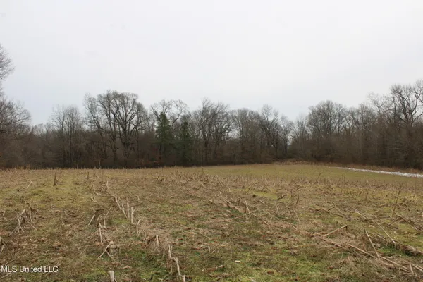 $1,800,000 | 3800 Highway 301, Lake Cormorant, MS 38641