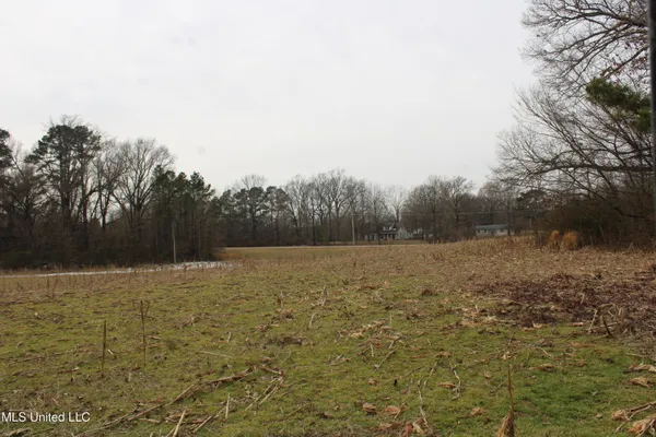 $1,800,000 | 3800 Highway 301, Lake Cormorant, MS 38641