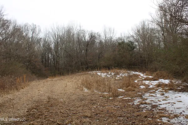 $1,800,000 | 3800 Highway 301, Lake Cormorant, MS 38641