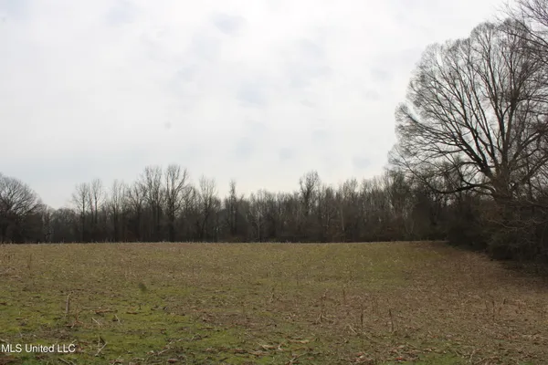 $1,800,000 | 3800 Highway 301, Lake Cormorant, MS 38641