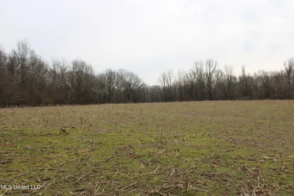 $1,800,000 | 3800 Highway 301, Lake Cormorant, MS 38641