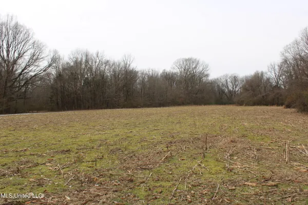 $1,800,000 | 3800 Highway 301, Lake Cormorant, MS 38641