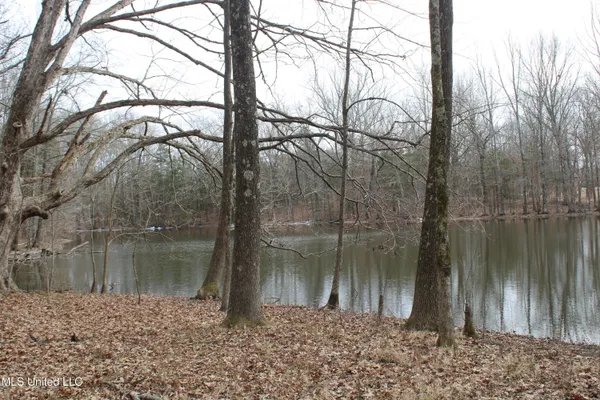 $1,800,000 | 3800 Highway 301, Lake Cormorant, MS 38641