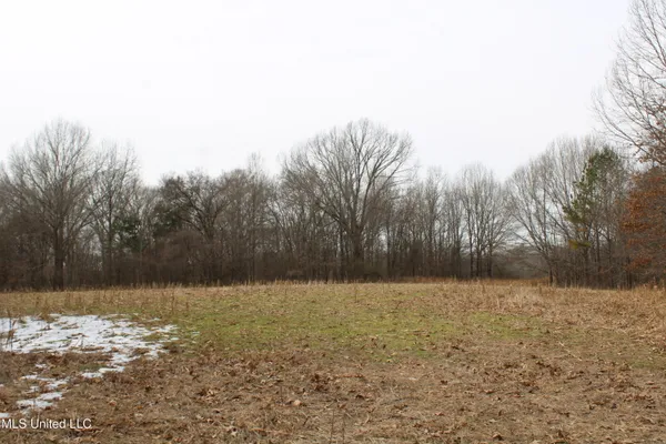 $1,800,000 | 3800 Highway 301, Lake Cormorant, MS 38641