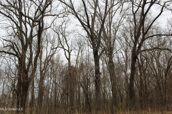 $1,800,000 | 3800 Highway 301, Lake Cormorant, MS 38641