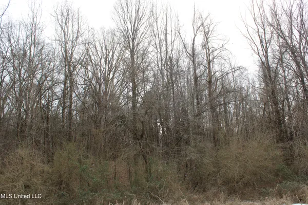 $1,800,000 | 3800 Highway 301, Lake Cormorant, MS 38641