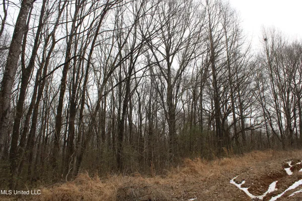 $1,800,000 | 3800 Highway 301, Lake Cormorant, MS 38641