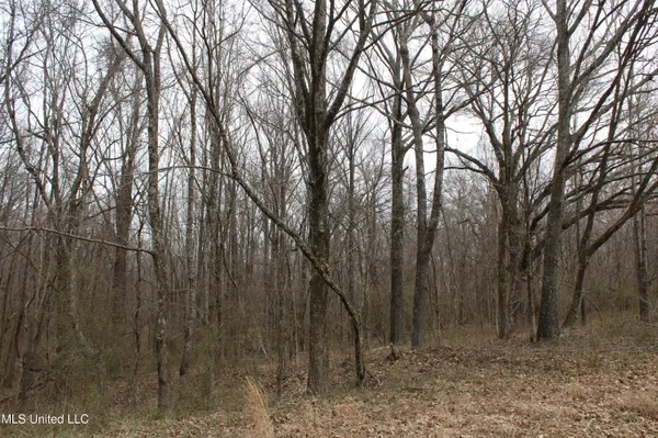 $1,800,000 | 3800 Highway 301, Lake Cormorant, MS 38641