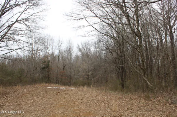 $1,800,000 | 3800 Highway 301, Lake Cormorant, MS 38641