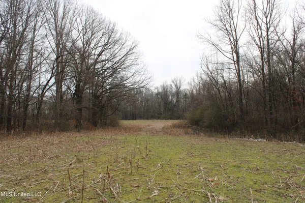 $1,800,000 | 3800 Highway 301, Lake Cormorant, MS 38641