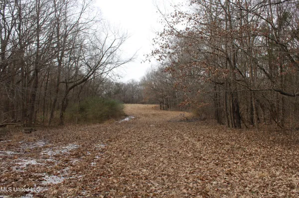 $1,800,000 | 3800 Highway 301, Lake Cormorant, MS 38641