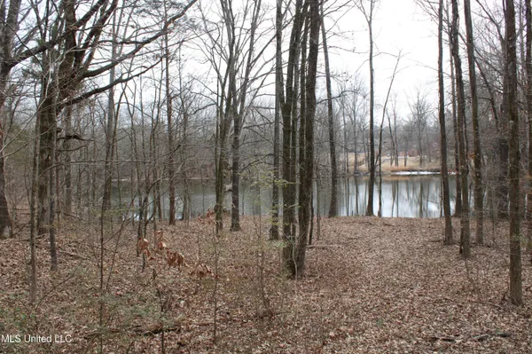 $1,800,000 | 3800 Highway 301, Lake Cormorant, MS 38641