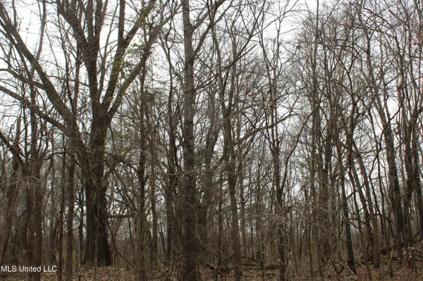 $1,800,000 | 3800 Highway 301, Lake Cormorant, MS 38641