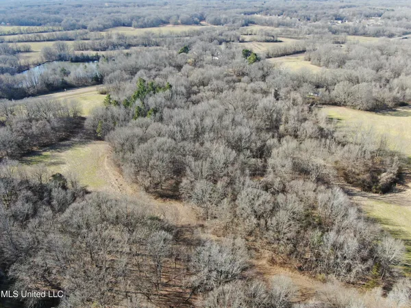 $1,800,000 | 3800 Highway 301, Lake Cormorant, MS 38641