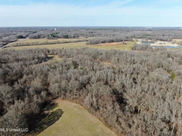 $1,800,000 | 3800 Highway 301, Lake Cormorant, MS 38641