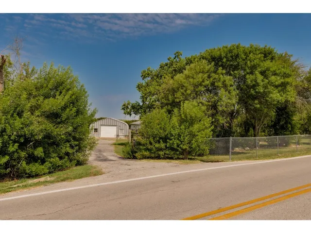 a view of a field with a tree