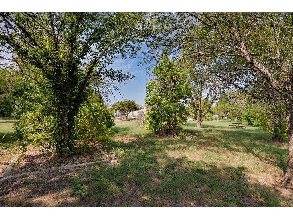 13506 Palmer Road Buda, TX 78610 - Photo 29 of 33 a view of yard with green space