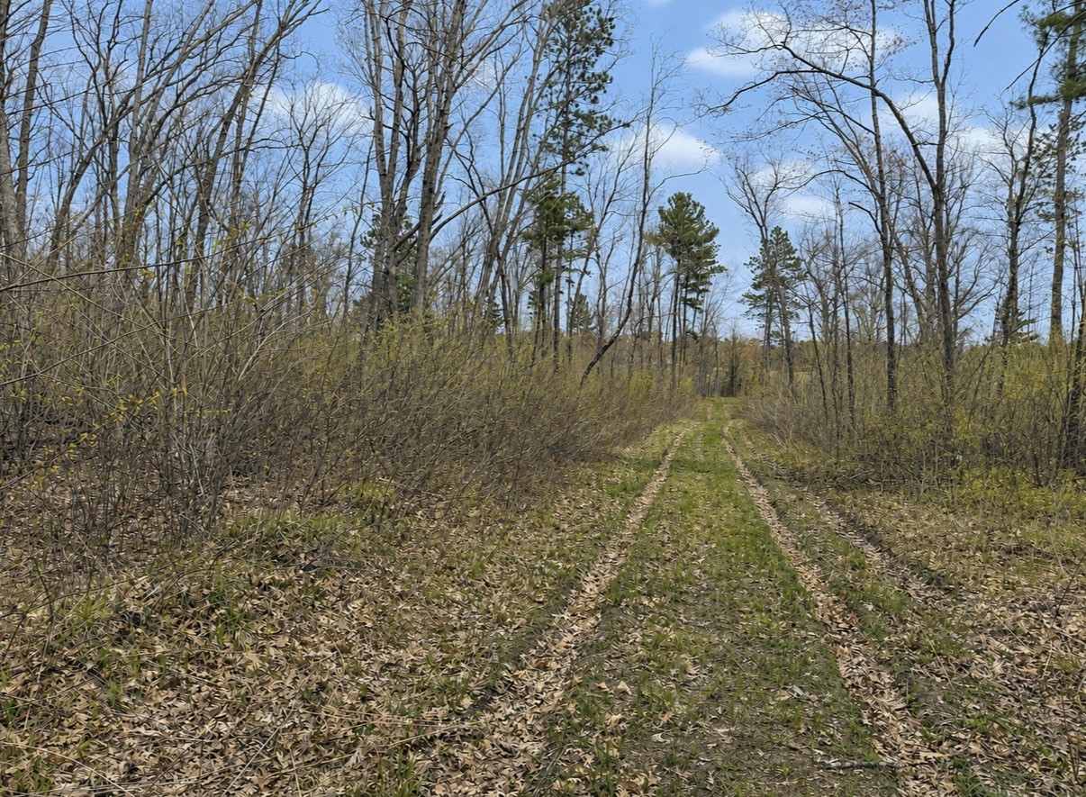 Xxx Foss Lane Spooner, WI 54801 - Photo 1 of 10