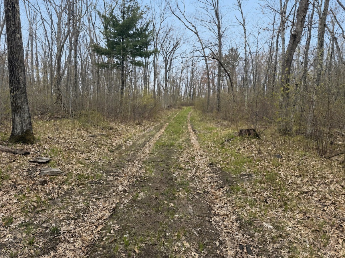 Xxx Foss Lane Spooner, WI 54801 - Photo 2 of 10