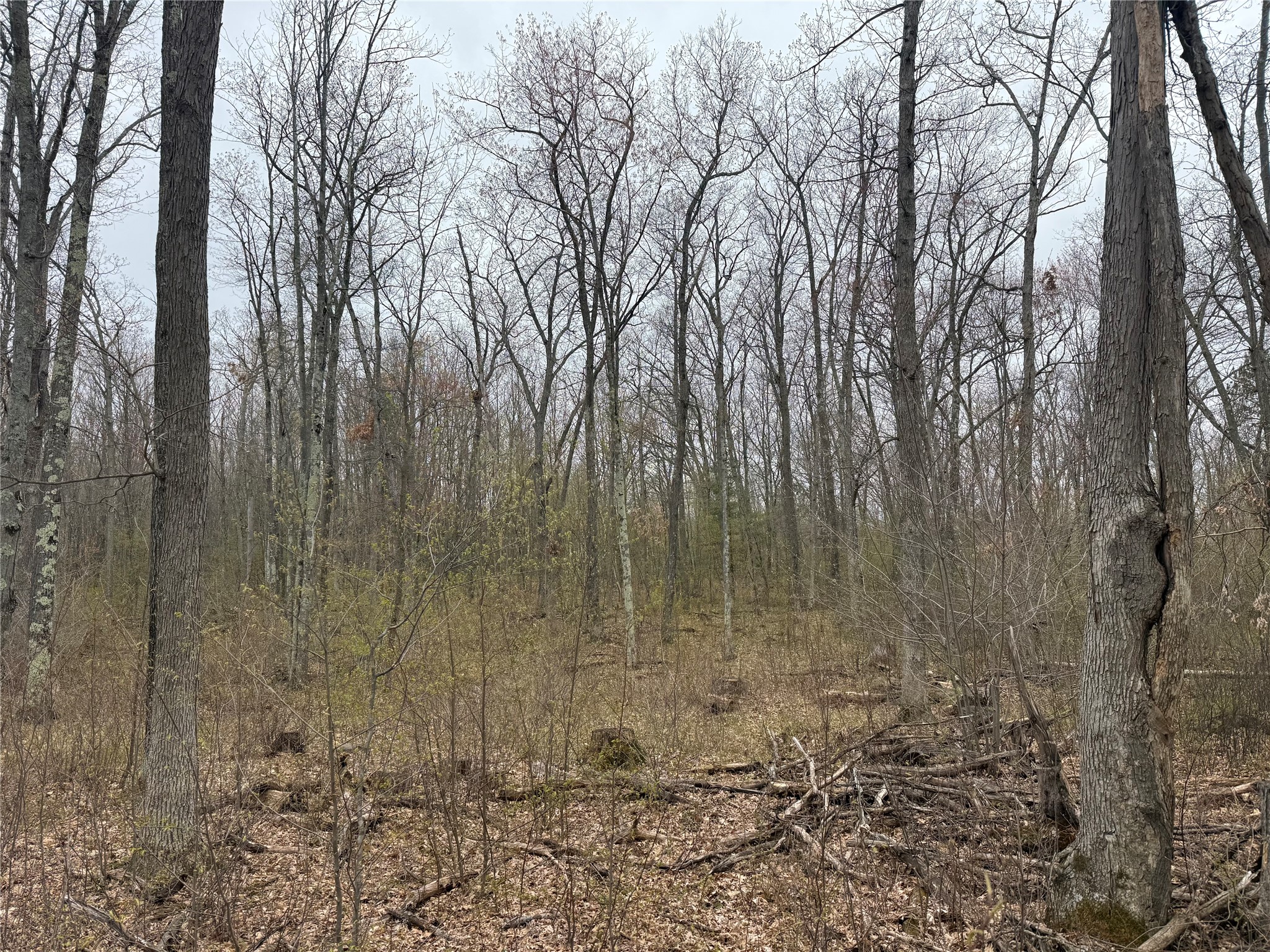 Xxx Foss Lane Spooner, WI 54801 - Photo 6 of 10