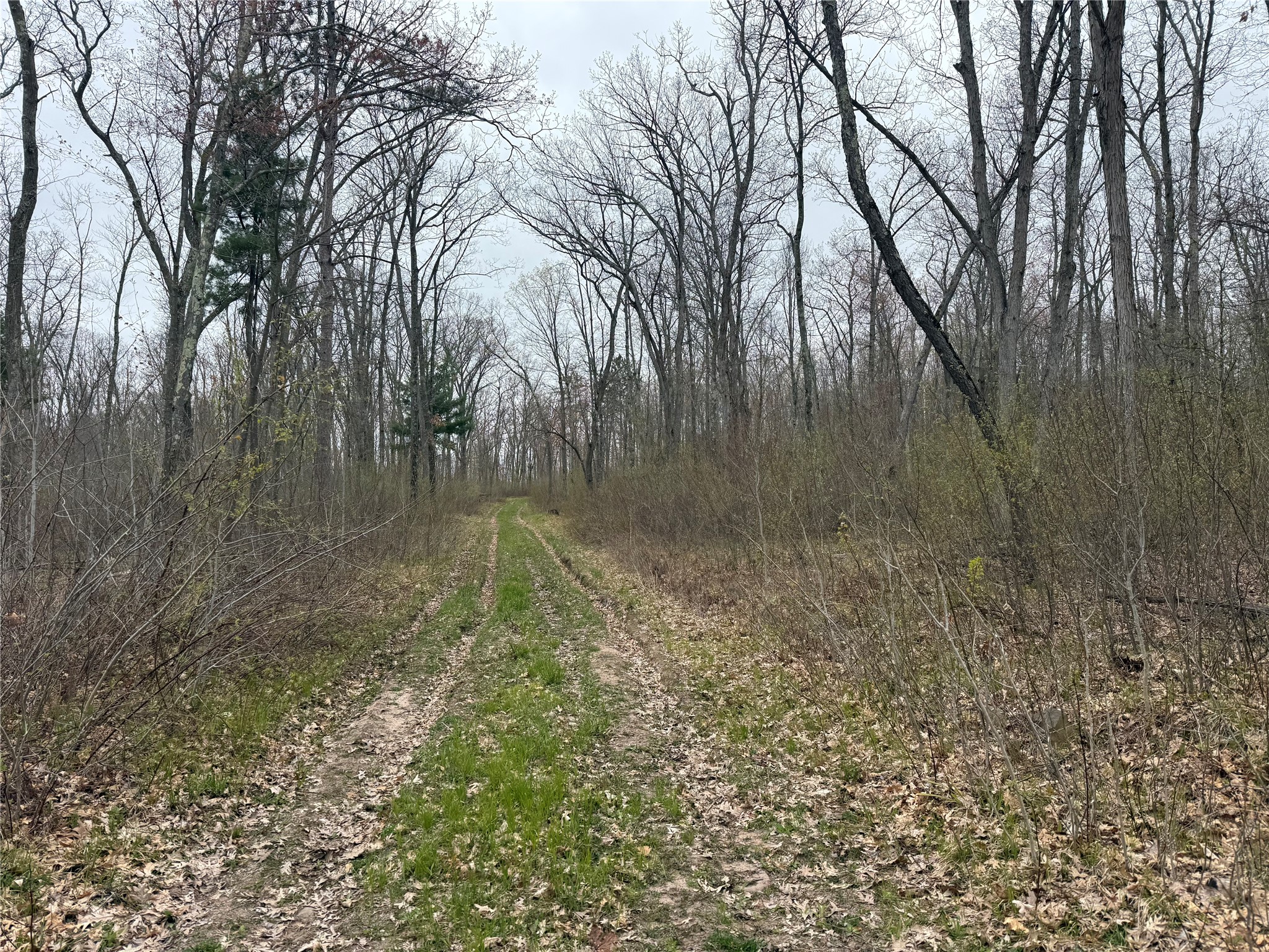 Xxx Foss Lane Spooner, WI 54801 - Photo 8 of 10