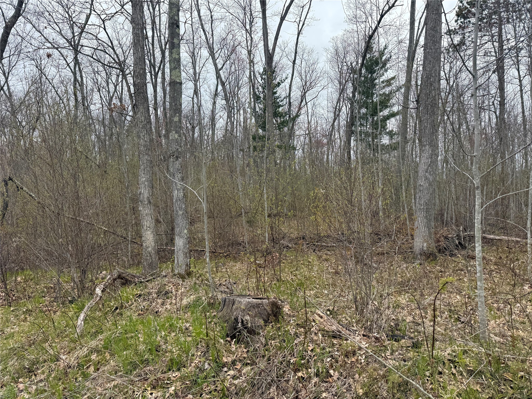 Xxx Foss Lane Spooner, WI 54801 - Photo 10 of 10