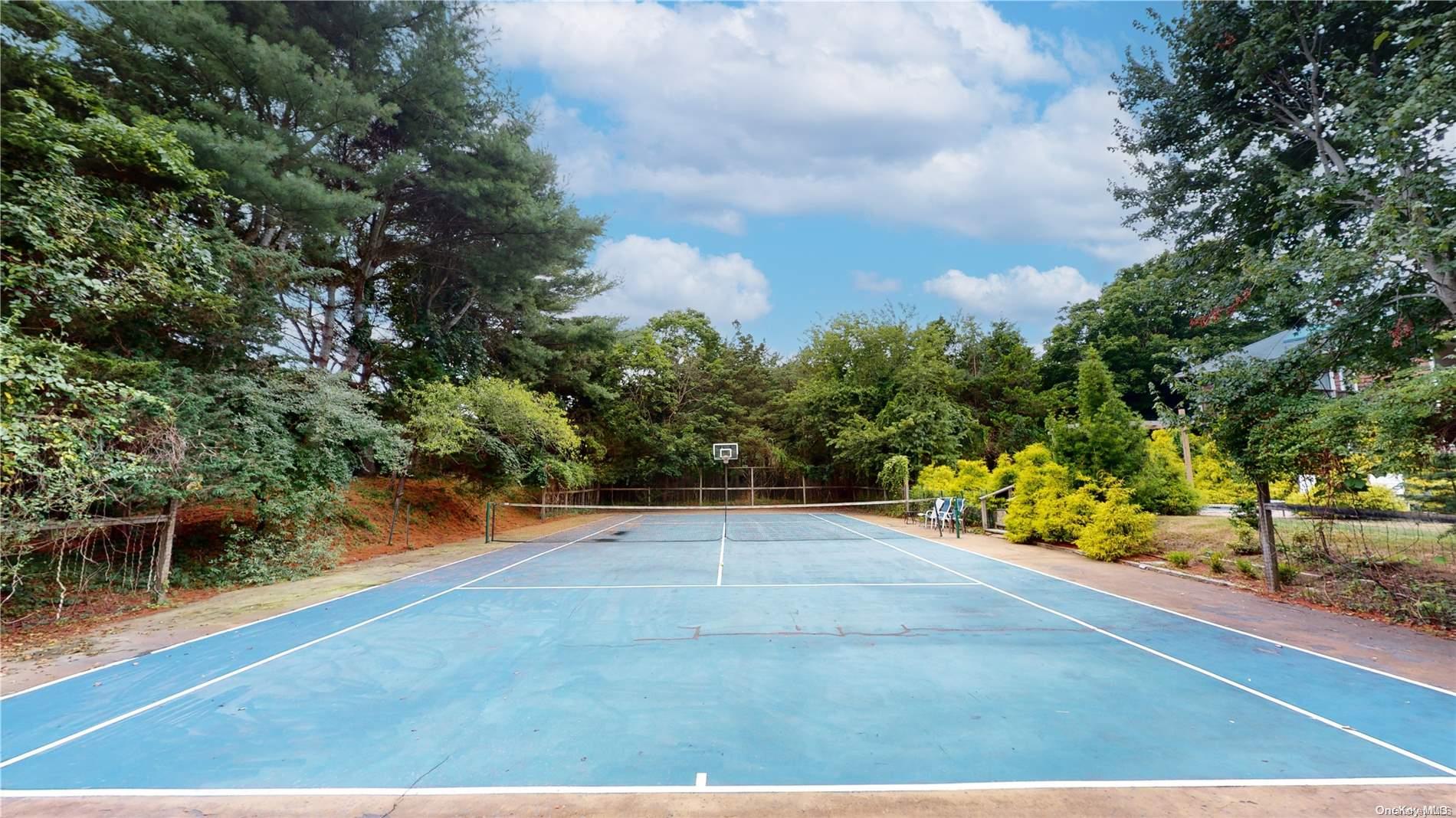 28 Club Lane Remsenburg, NY 11960 - Photo 30 of 33 a view of an outdoor space and basketball court