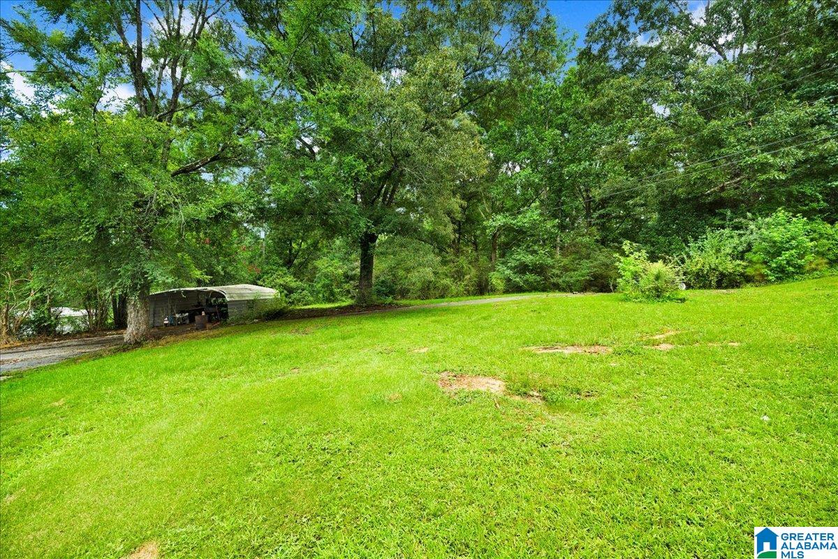 4162 Boston Road Adger, AL 35006 - Photo 4 of 25 Gallery Image 4