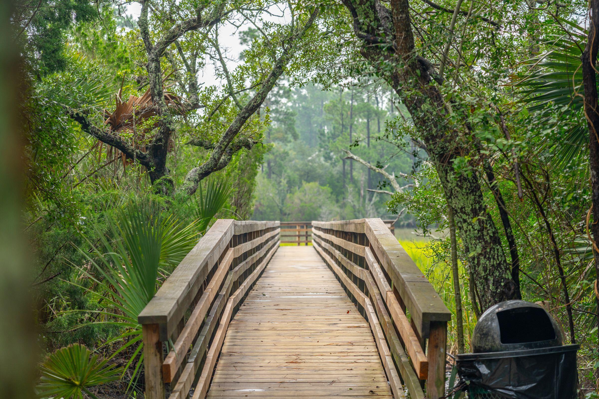 1860 Hall Point Road Mount Pleasant, SC 29466 - Photo 50 of 54 Crabbing Dock