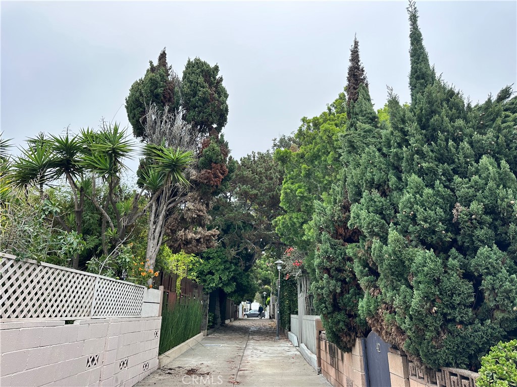 30 Dudley Avenue, Unit 6 Venice, CA 90291 - Photo 3 of 19 a view of a street with a tree