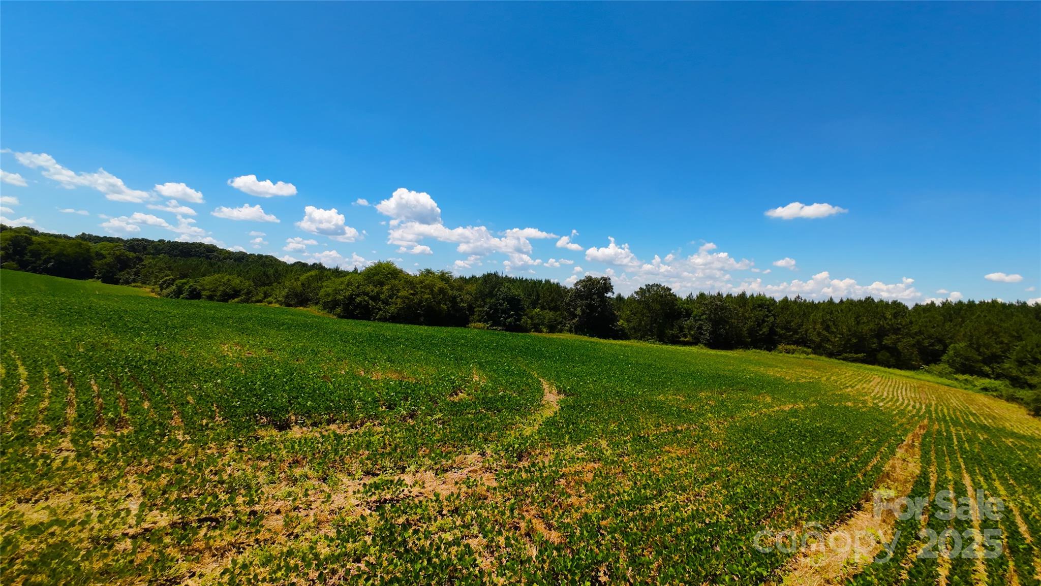 1455 Bonnie Ross Road Polkton, NC 28135 - Photo 10 of 18