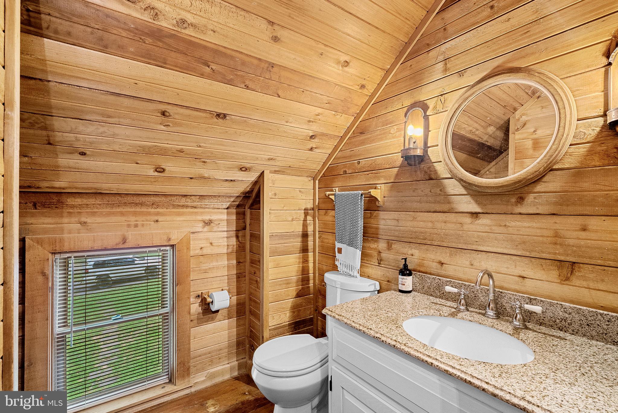1263 Frogtown Road Bluemont, VA 20135 - Photo 35 of 72