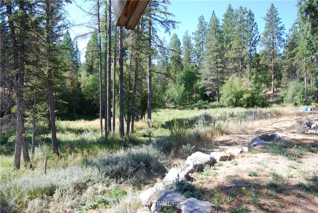 225 Patterson Creek Road Tonasket, WA 98855 - Photo 19 of 21 Gallery Image 19