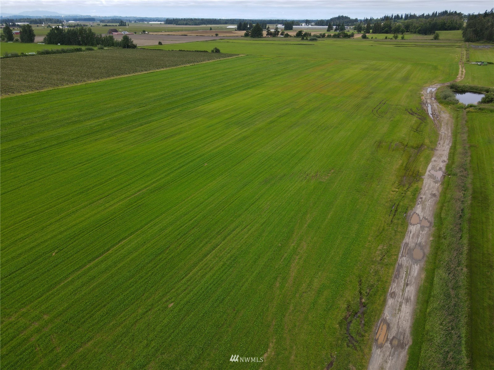 0 Weidkamp Road Lynden, WA 98264 - Photo 11 of 12 a view of a golf course