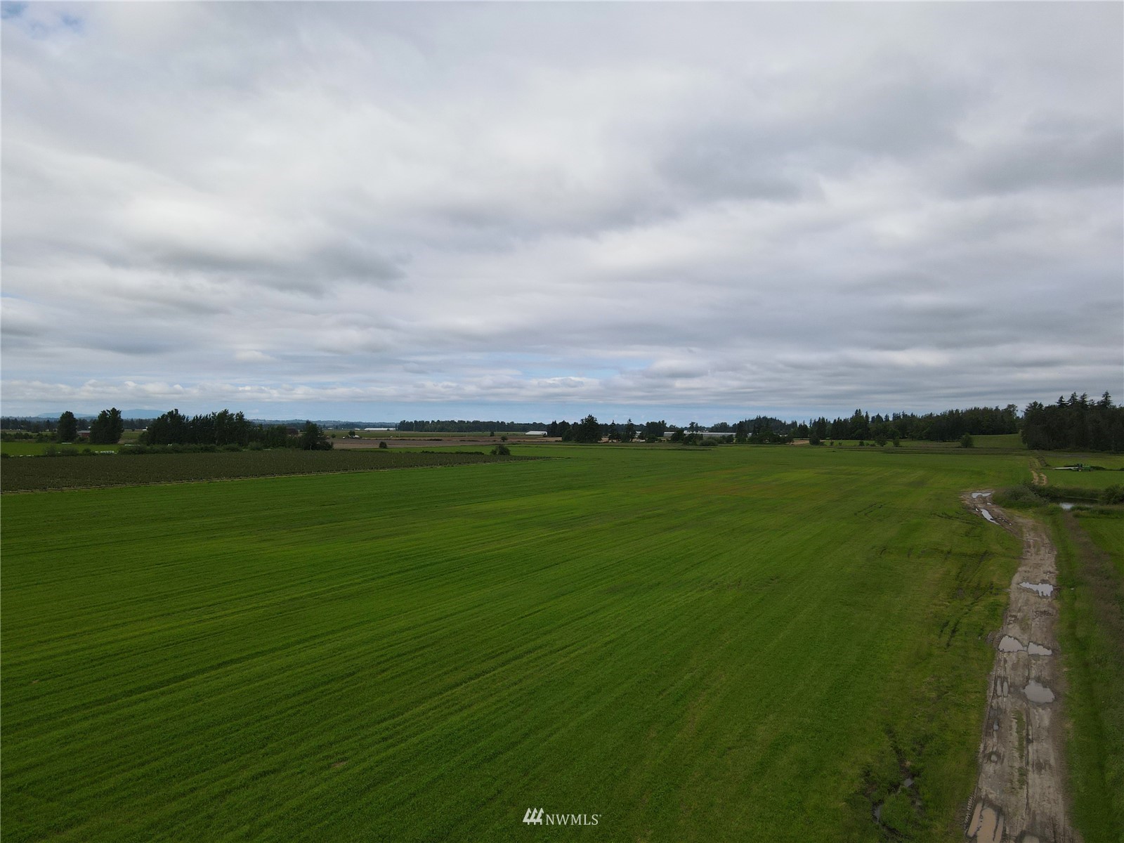 0 Weidkamp Road Lynden, WA 98264 - Photo 12 of 12 a view of a field with clear sky