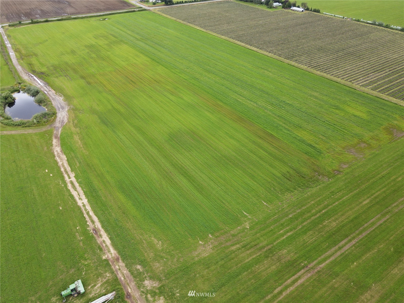 0 Weidkamp Road Lynden, WA 98264 - Photo 5 of 12 a view of a big yard