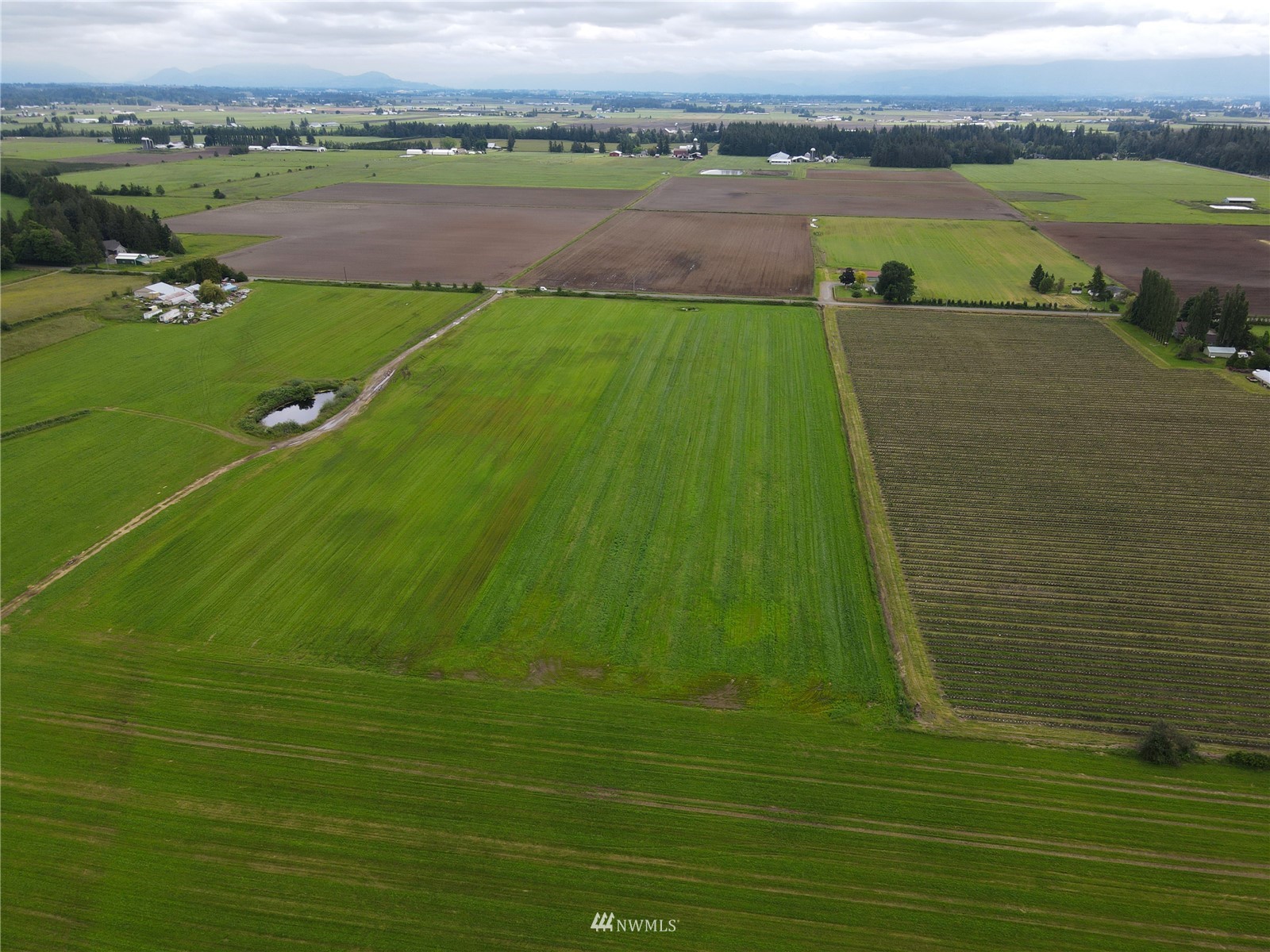 0 Weidkamp Road Lynden, WA 98264 - Photo 9 of 12 a view of a lake with a big yard